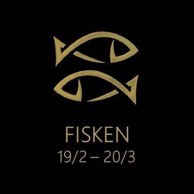 stjernetegn fisken smykkesten
